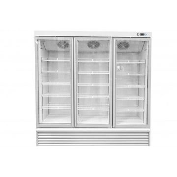 IARP ASIA 165 3 Door Upright Vertical Glass Door Freezer