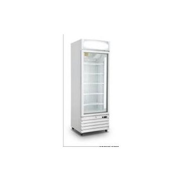 ICCOLD AQ FD LD57 1 Door Display Freezer