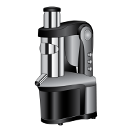 Cold Press Juicer